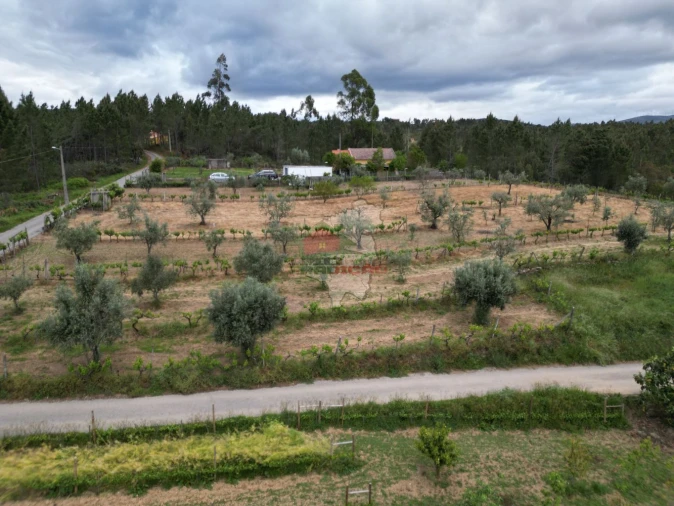 Terreno para Venda em Varzea dos Cavaleiros Foto 11
