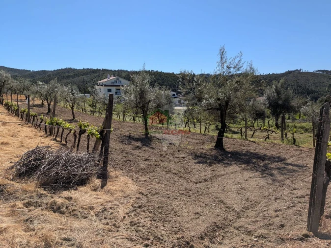 Terreno para Venda em Varzea dos Cavaleiros Foto 6