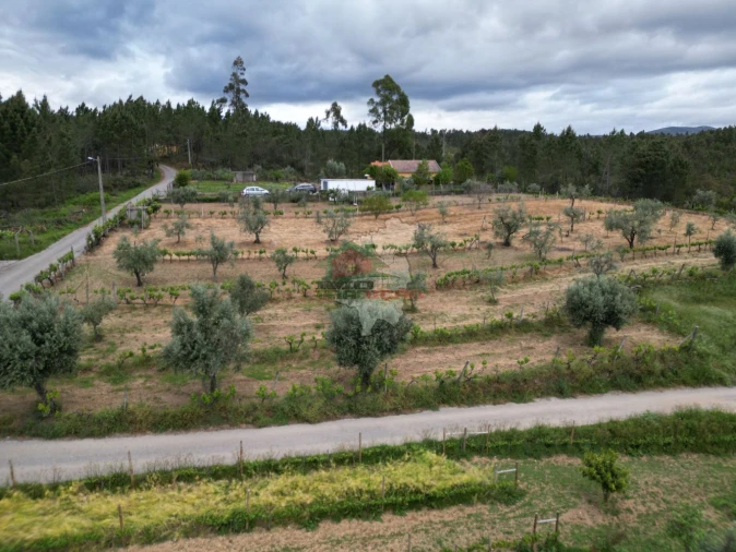 Terreno para Venda em Varzea dos Cavaleiros Foto 10