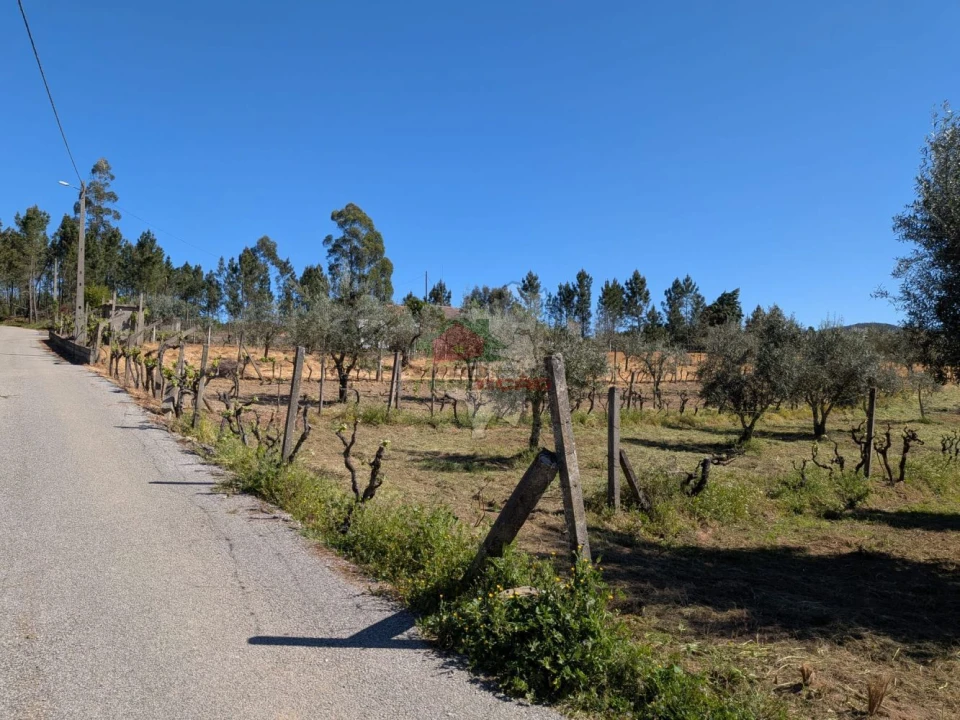 Terreno para Venda em Varzea dos Cavaleiros Foto 8