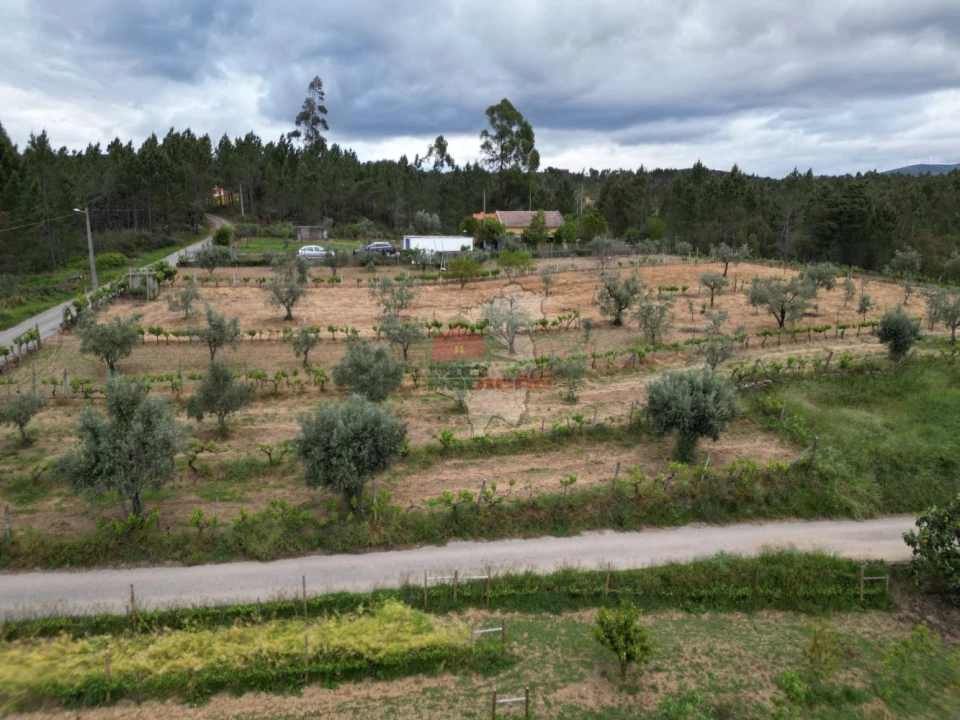 Terreno para Venda em Varzea dos Cavaleiros Foto 11