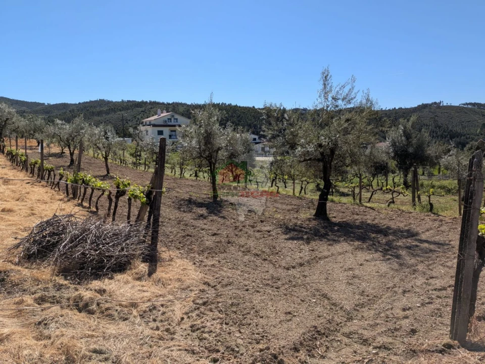 Terreno para Venda em Varzea dos Cavaleiros Foto 6