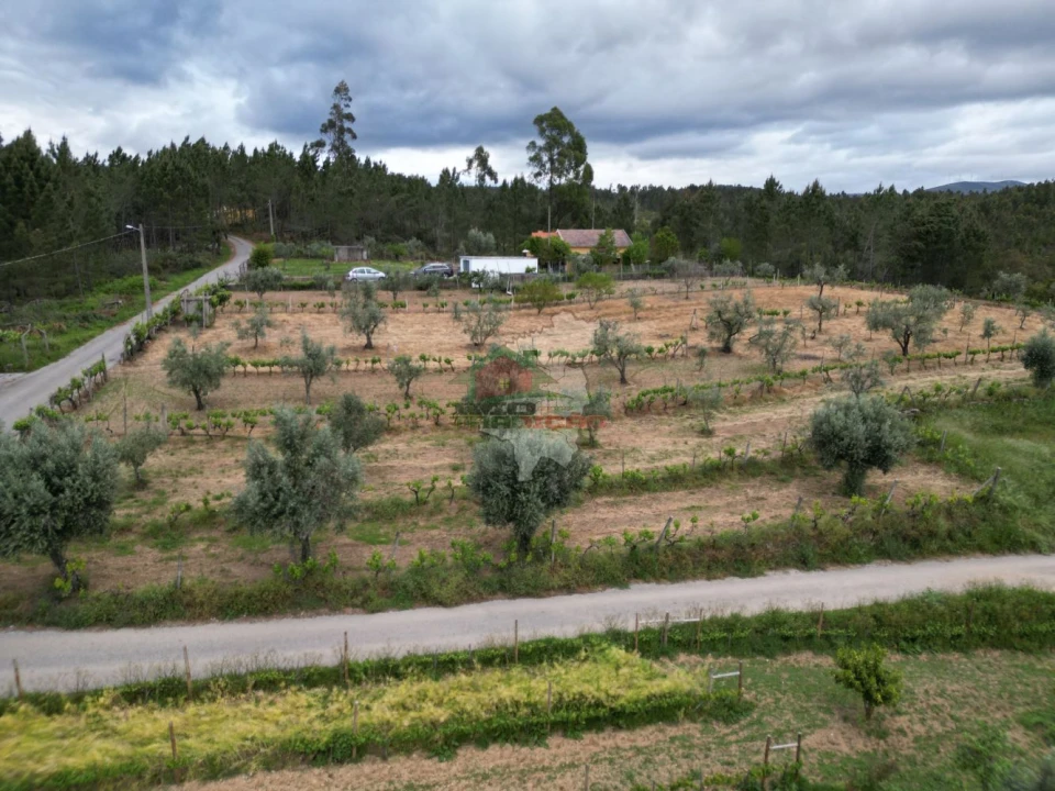 Terreno para Venda em Varzea dos Cavaleiros Foto 10