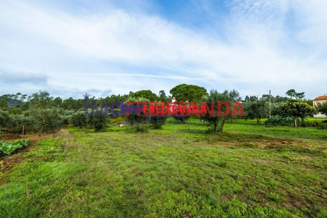 Moradia T2 para Venda em Freixianda, Ribeira do Fárrio e Formigais Foto 5