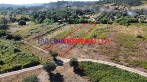 Terreno para Venda em Freixianda, Ribeira do Fárrio e Formigais
