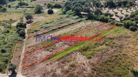 Terreno para Venda em Freixianda, Ribeira do Fárrio e Formigais