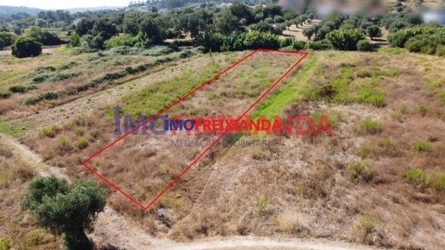 Terreno para Venda em Freixianda, Ribeira do Fárrio e Formigais Foto 3