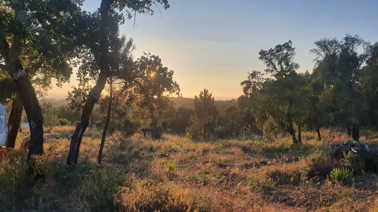 Terreno para Venda em Igreja Nova do Sobral Foto 3