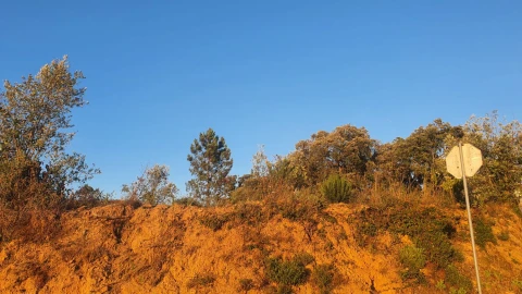 Terreno para Venda em Igreja Nova do Sobral