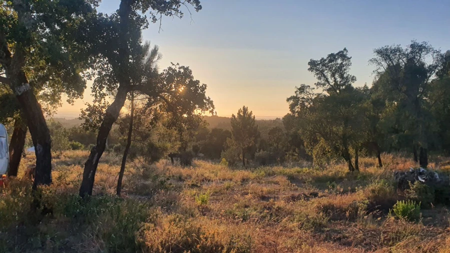 Terreno para Venda em Igreja Nova do Sobral Foto 3