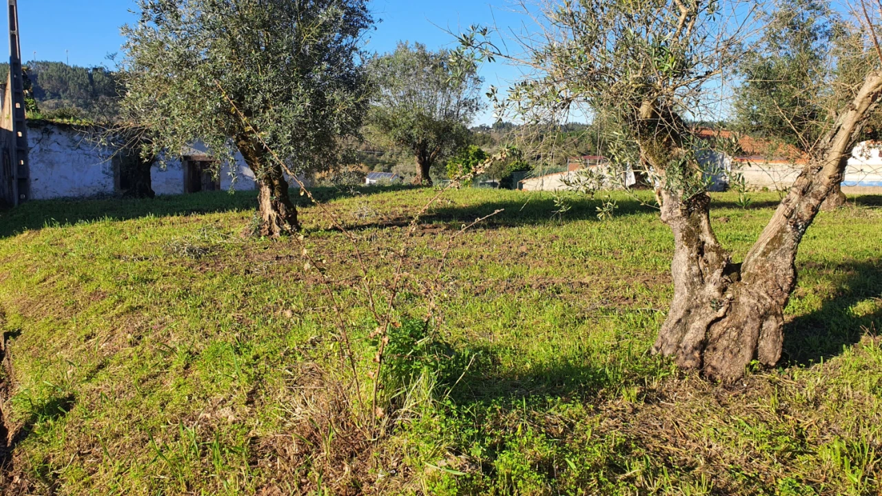 Moradia T0 para Venda em Areias e Pias Foto 12