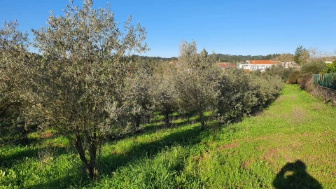 Moradia T0 para Venda em Areias e Pias