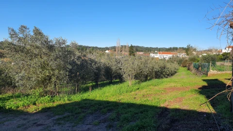 Moradia T0 para Venda em Areias e Pias