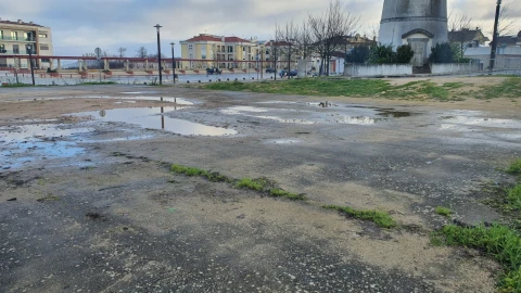 Terreno para Venda em Nossa Senhora do Pranto