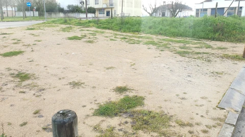 Terreno para Venda em Nossa Senhora do Pranto