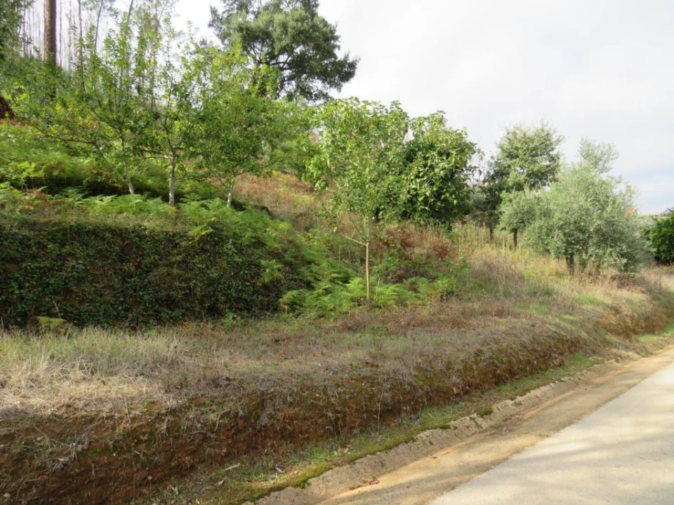 Terreno para Venda em Figueiró dos Vinhos e Bairradas Foto 2