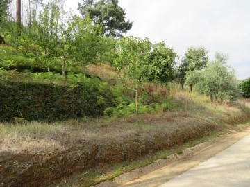 Terreno para Venda em Figueiró dos Vinhos e Bairradas