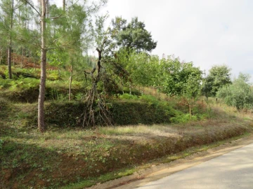 Terreno para Venda em Figueiró dos Vinhos e Bairradas