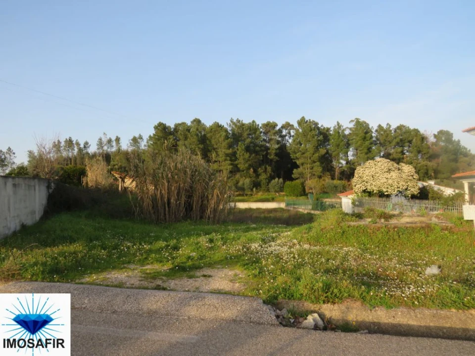 Terreno para Venda em São João Baptista e Santa Maria dos Olivais Foto 3