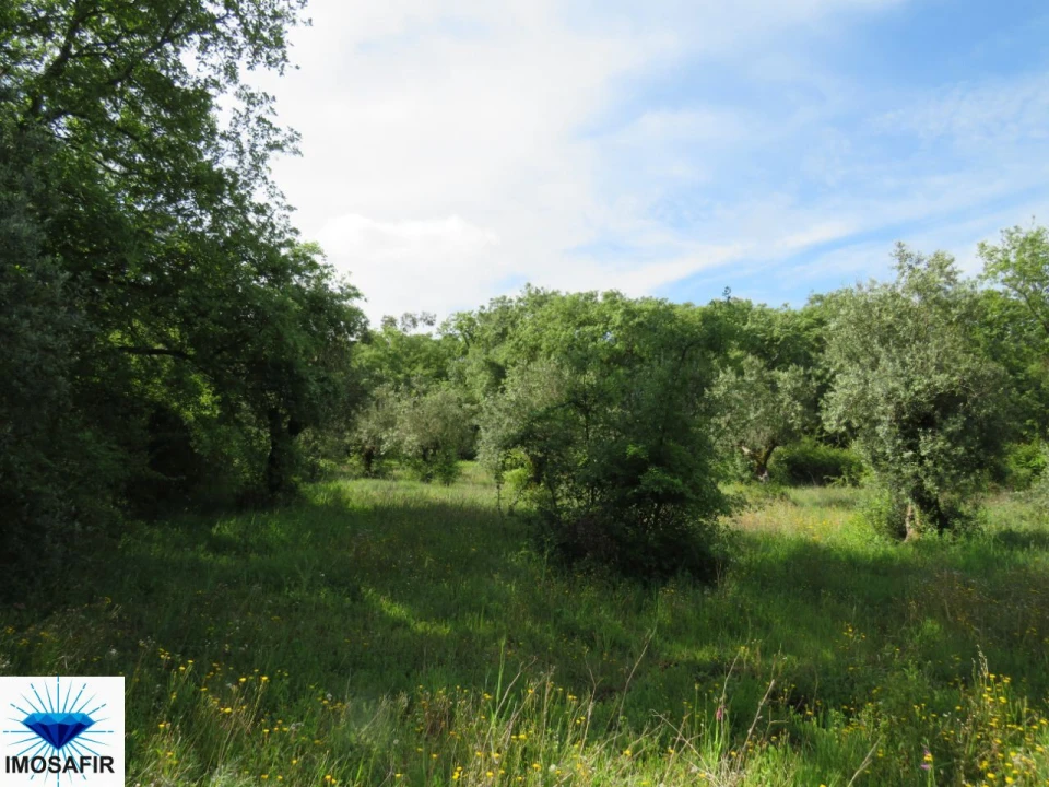Terreno para Venda em Alvaiázere Foto 1