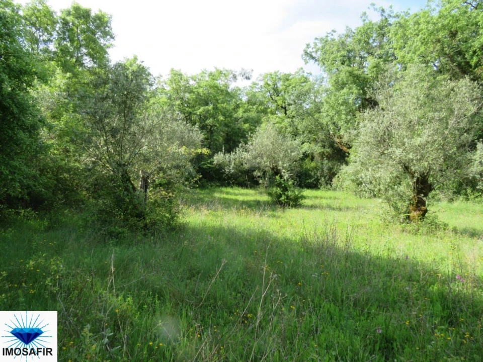 Terreno para Venda em Alvaiázere Foto 3