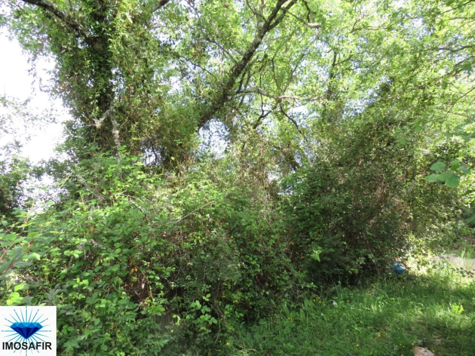Terreno para Venda em Alvaiázere Foto 8