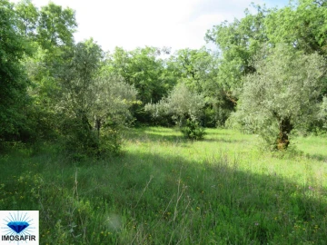 Terreno para Venda em Alvaiázere