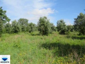 Terreno para Venda em Alvaiázere