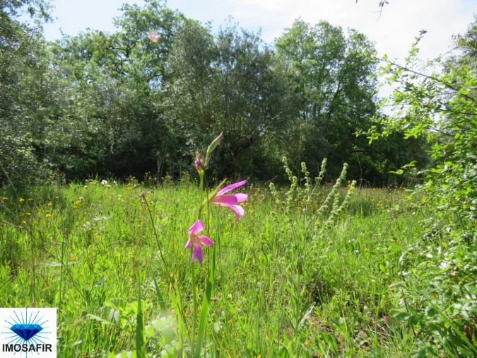 Terreno para Venda em Alvaiázere Foto 6
