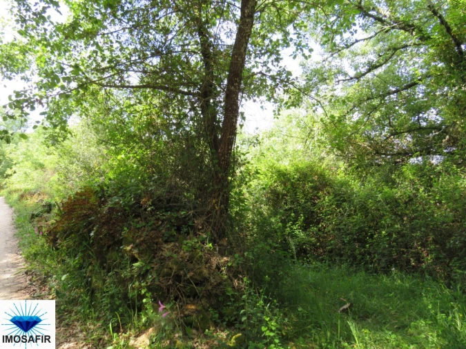 Terreno para Venda em Alvaiázere Foto 9