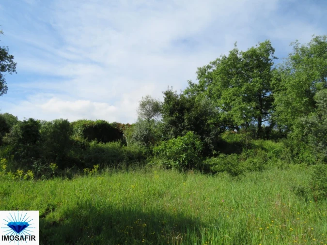 Terreno para Venda em Alvaiázere Foto 11