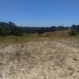 Terreno para Venda em Madalena e Beselga