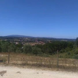 Terreno para Venda em Madalena e Beselga