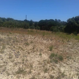 Terreno para Venda em Madalena e Beselga