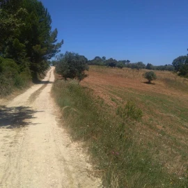 Terreno para Venda em Madalena e Beselga