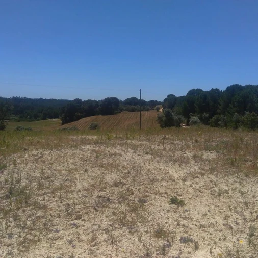 Terreno para Venda em Madalena e Beselga Foto 4