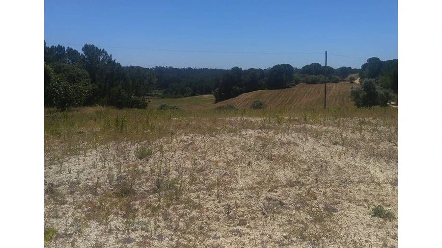 Terreno para Venda em Madalena e Beselga