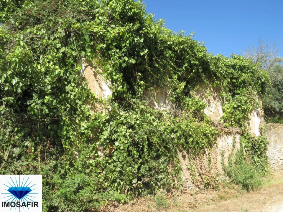 Moradia T0 para Venda em São João Baptista e Santa Maria dos Olivais Foto 2