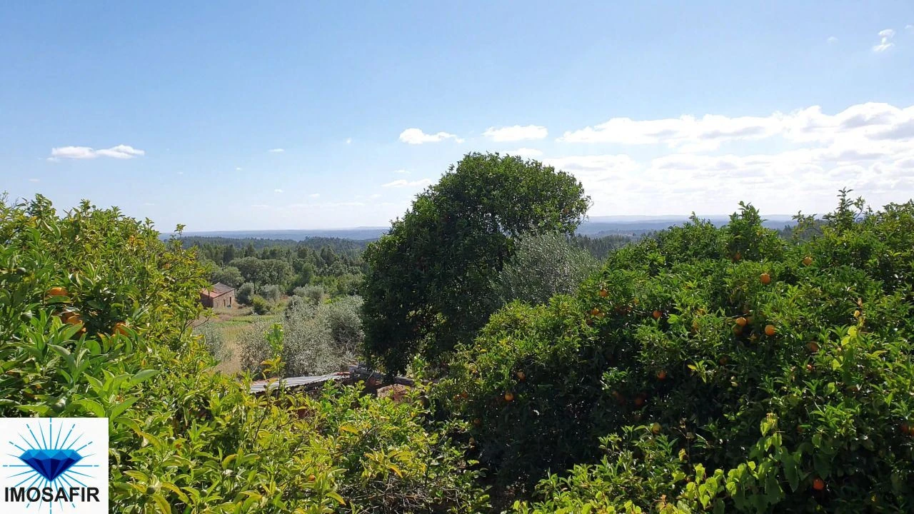 Quinta T4 para Venda em Igreja Nova do Sobral Foto 3