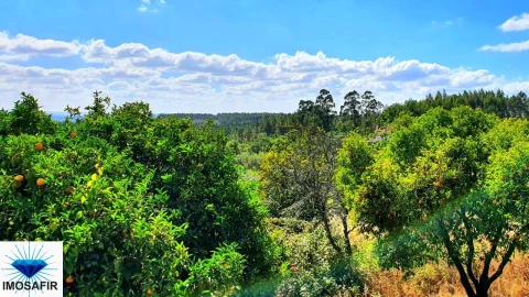 Quinta T4 para Venda em Igreja Nova do Sobral