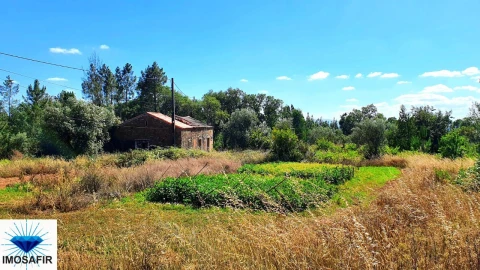 Quinta T4 para Venda em Igreja Nova do Sobral