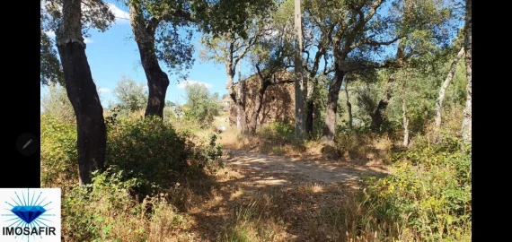 Quinta T4 para Venda em Igreja Nova do Sobral