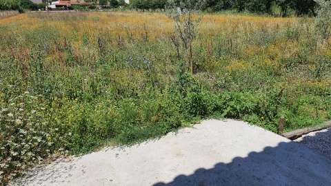 Moradia T6 para Venda em São João Baptista e Santa Maria dos Olivais