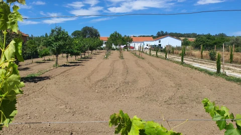 Moradia T6 para Venda em São João Baptista e Santa Maria dos Olivais