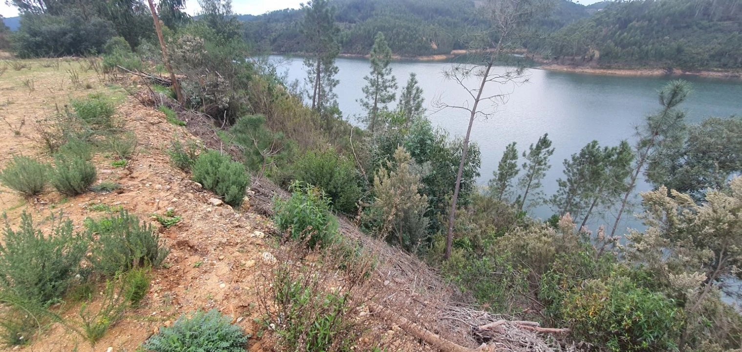 Terreno para Venda em Vila de Rei Foto 9