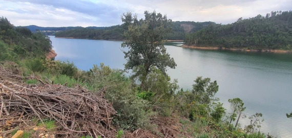 Terreno para Venda em Vila de Rei