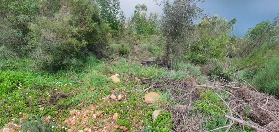 Terreno para Venda em Vila de Rei