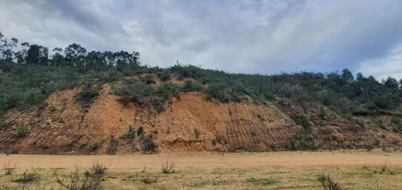 Terreno para Venda em Vila de Rei
