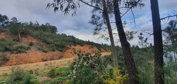 Terreno para Venda em Vila de Rei