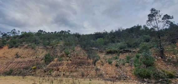 Terreno para Venda em Vila de Rei